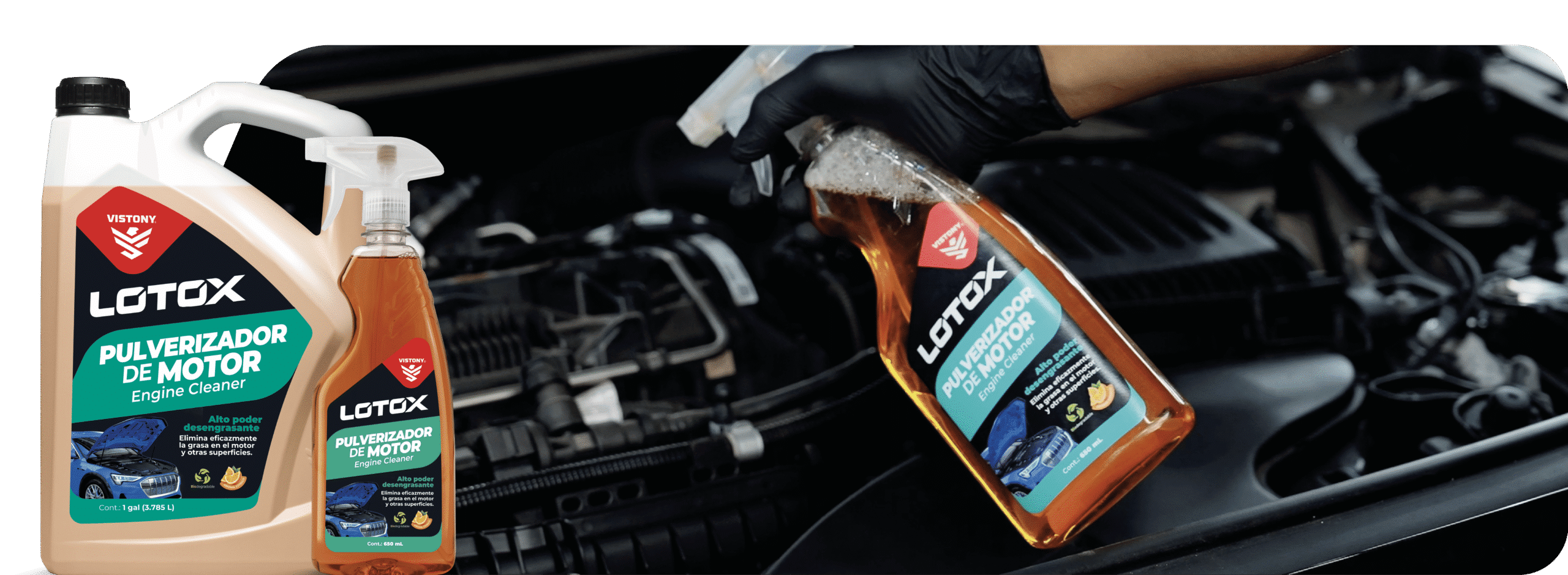 Lotox Convencional-32